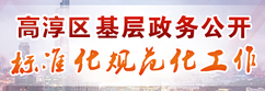 高淳區(qū)基層政務(wù)公開 標準化規(guī)范化工作